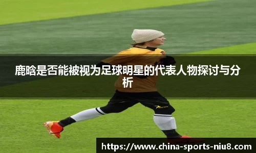 牛八体育官方网站